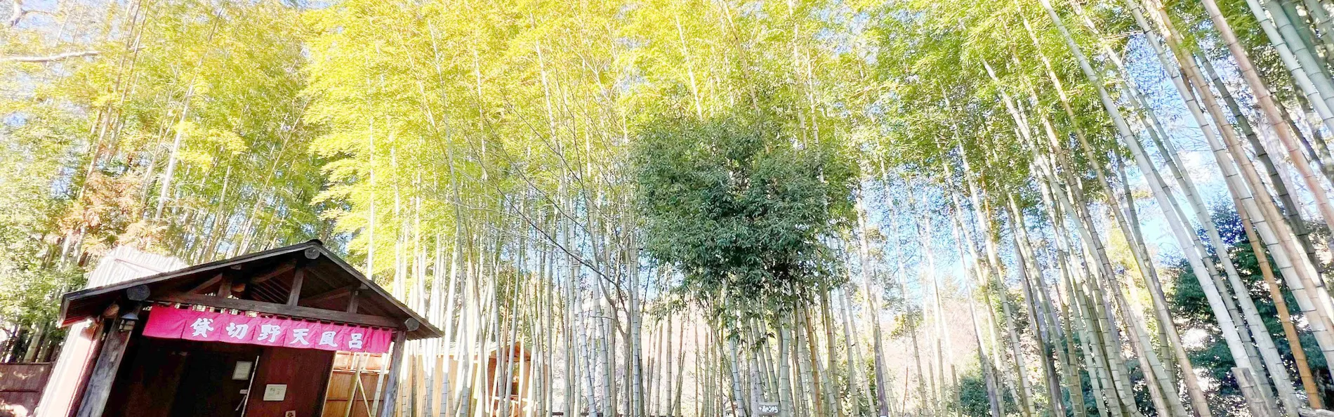 水のみち 風のみち 湯ヶ島 たつた