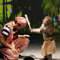 เวลาแสดงที่นิกโกะซารุแลนด์