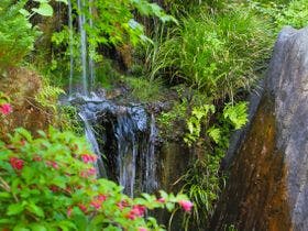 鬼怒川グランドホテル　夢の季