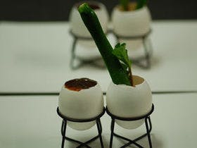 車山高原　オーベルジュ・ドゥ　ラ・メイジュ