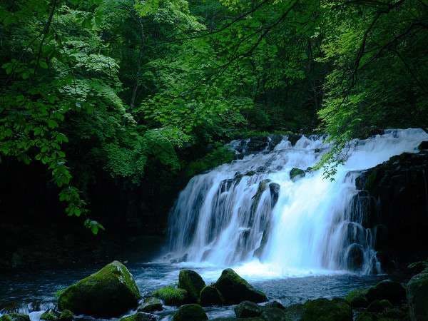 5 minit dari penginapan, Tateshina Otaki terletak di hutan dara.
