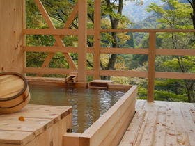 信州高山温泉郷　仙人露天岩風呂と渓谷美の宿　山田温泉　風景館