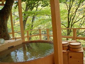 信州高山温泉郷　仙人露天岩風呂と渓谷美の宿　山田温泉　風景館