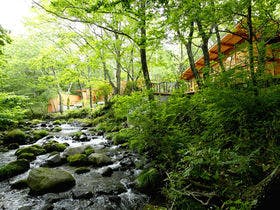 「蔵王の森」がつくる美と健康の温泉宿　ゆと森倶楽部