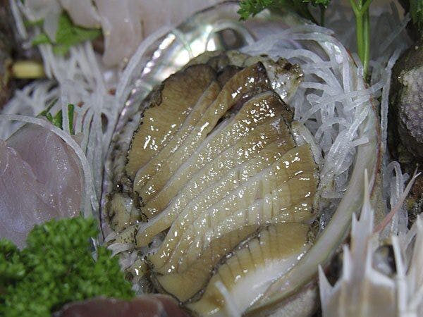 海の見えるペンション　デジャヴ