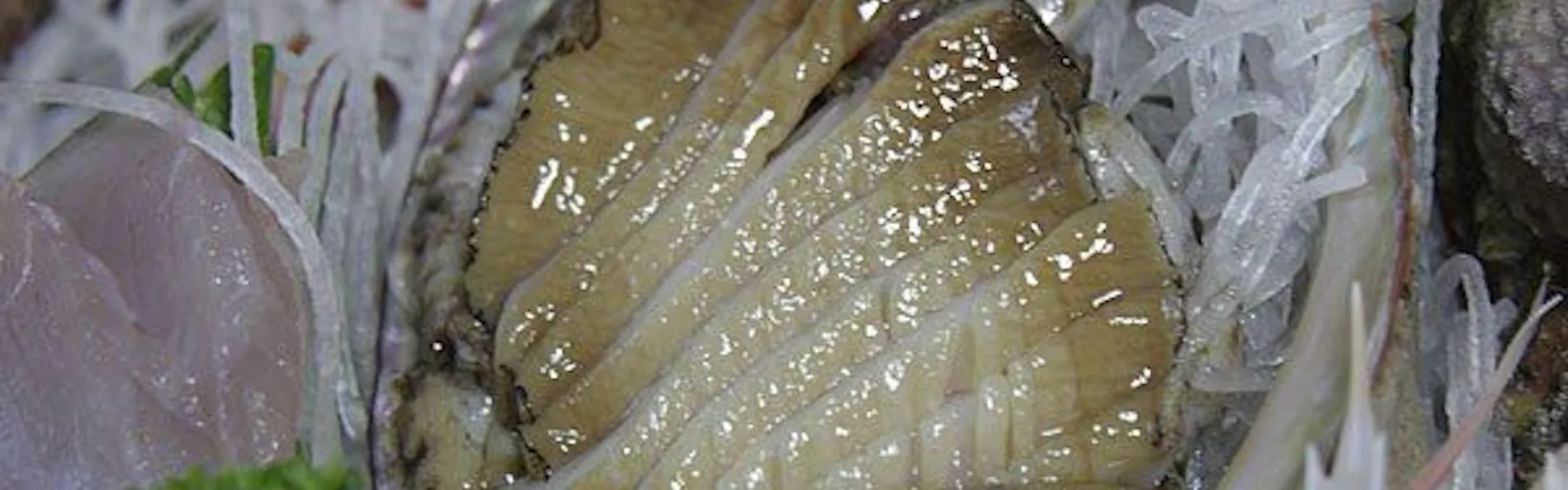 海の見えるペンション デジャヴ