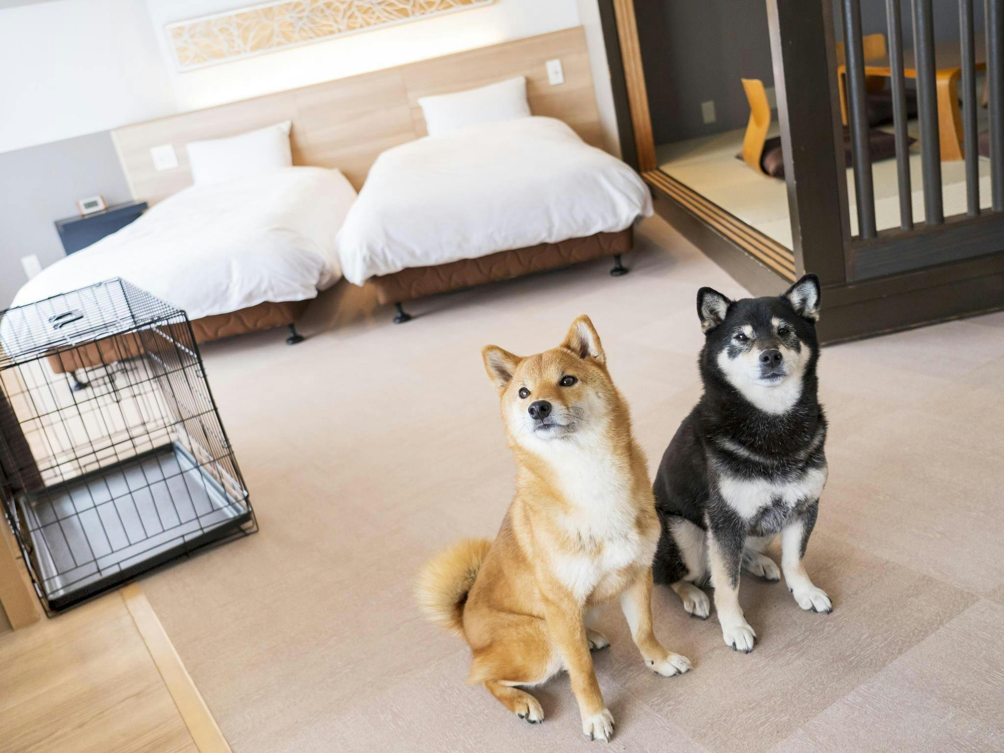 わんわんパラダイス 伊豆高原（旧：伊豆高原わんわんパラダイス ホテル＆コテージ）