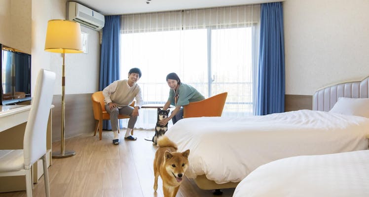 伊豆の離れ コテージのお部屋 おすすめホテル 旅館 選 お得に宿泊予約 Yahoo トラベル 伊豆の離れ コテージのお部屋 おすすめホテル 旅館 選 お得に宿泊予約 Yahoo トラベル