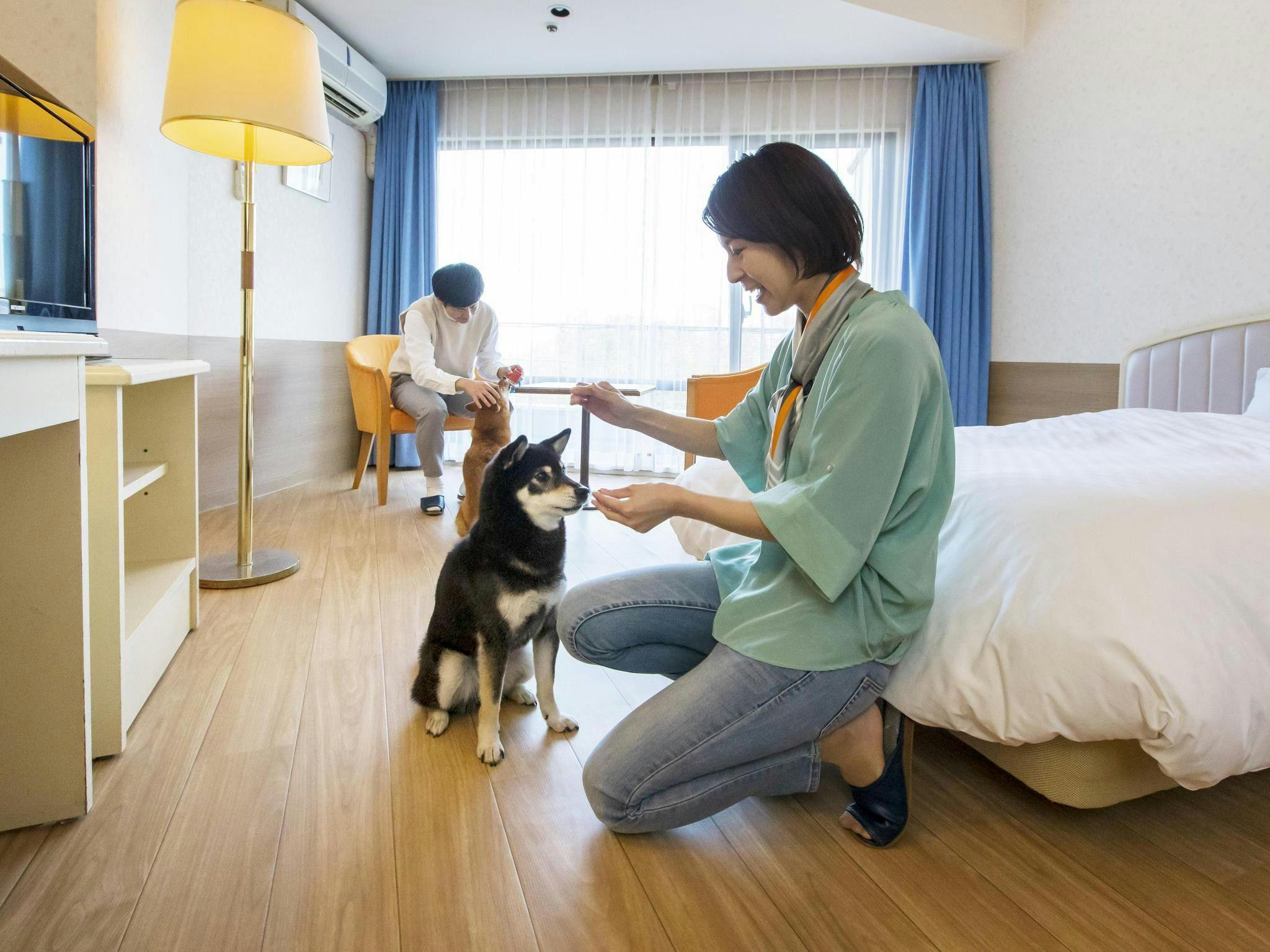 わんわんパラダイス 伊豆高原（旧：伊豆高原わんわんパラダイス ホテル＆コテージ）