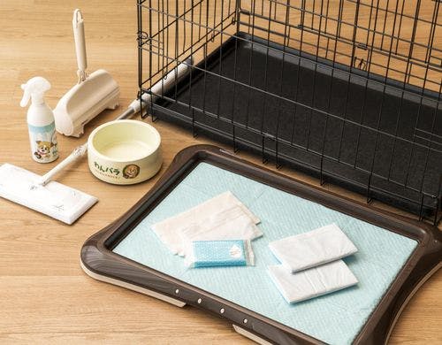 温泉露天風呂付大型コテージ：温泉露天風呂