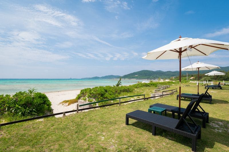 พื้นที่สวนริมสระว่ายน้ำ