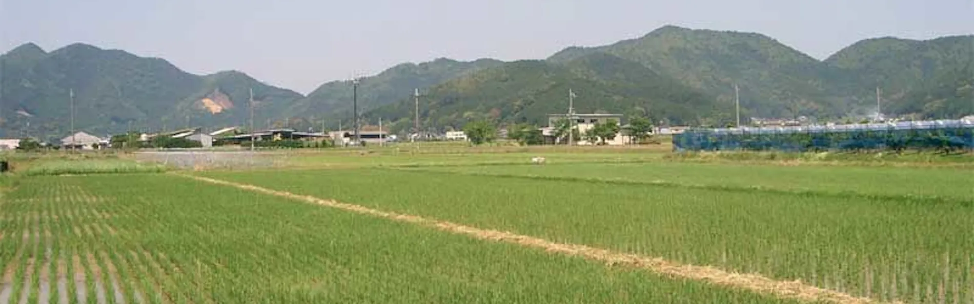 丹波の宿 恵泉
