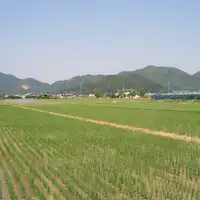 ทิวทัศน์ชนบท