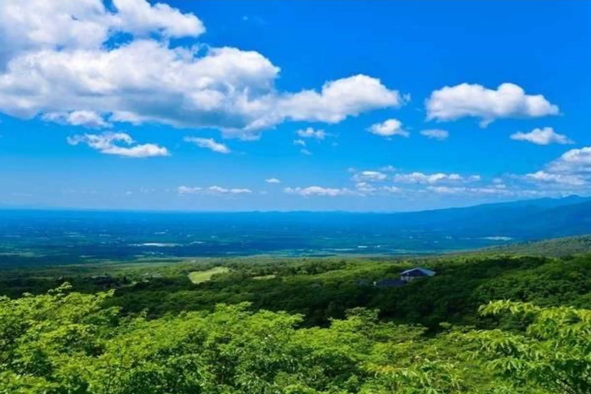 นาสุฮาจิมังทสึสึจิ(Nasu Hachimang Tsuji)