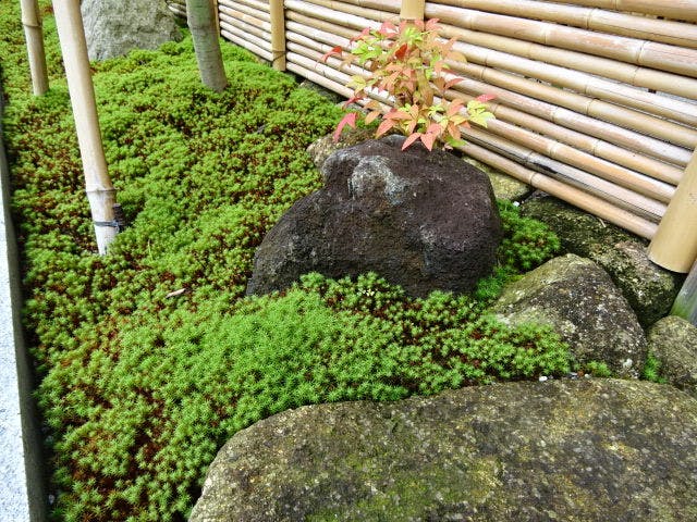 割烹の宿　大観荘
