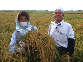 ONSENオーベルジュ プロヴァンス