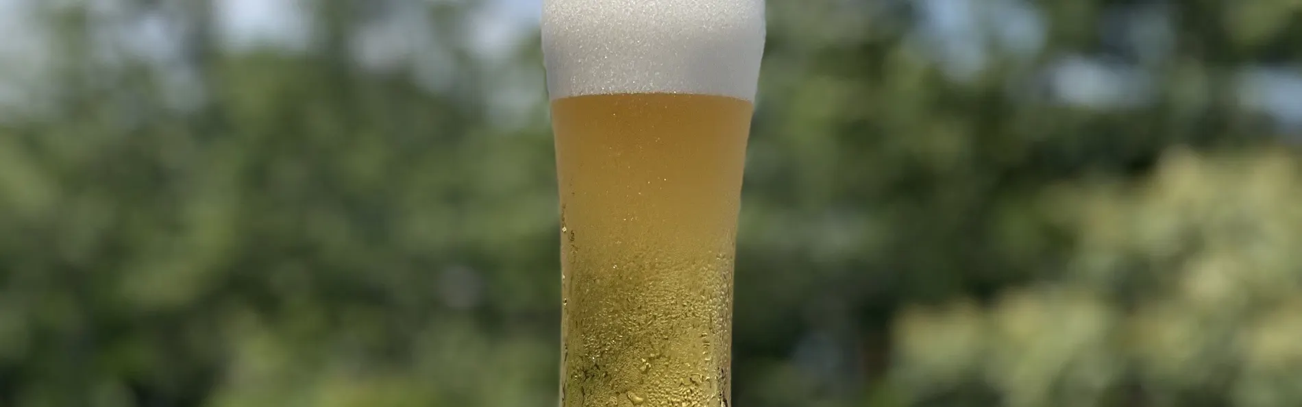 美食の隠れ家 プロヴァンス