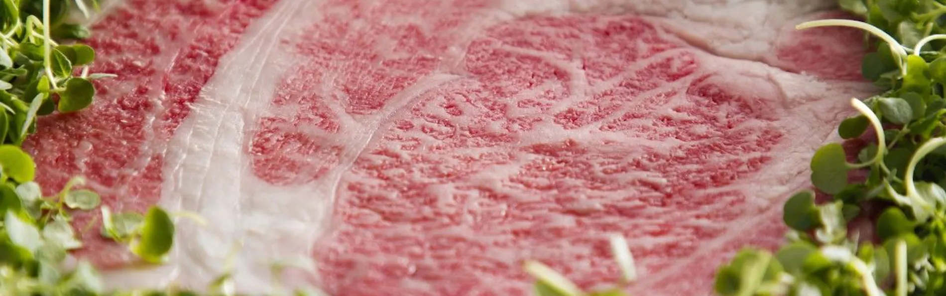 美食の隠れ家 プロヴァンス