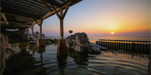 Taikanso Senami no Yu