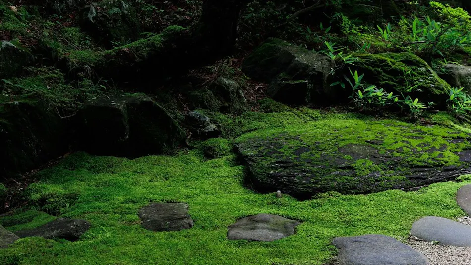Chousenkaku Kameya