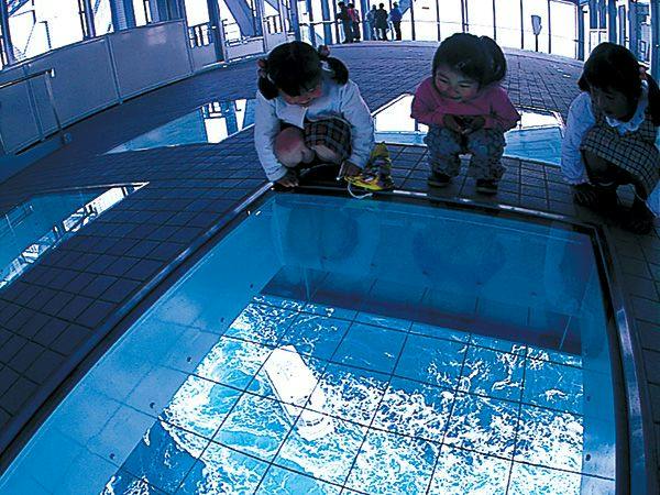 【渦の道・エディ共通入館チケット付き】姉妹館鳴門グランドで味わう！阿波の幸プレミアムバイキングプラン