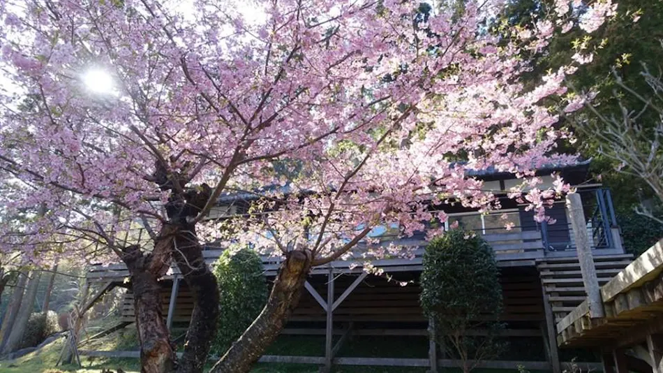 Hotel Shiki no Kura: A Pet-Friendly Inn with Its Own Hot Spring Source