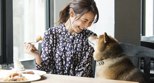 <1泊2食>愛犬と愉しむオールインクルーシブ!夕食時&食後のドリンクフリー 温泉リゾートで過ごす