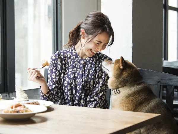 <1泊2食>愛犬と愉しむオールインクルーシブ!夕食時&食後のドリンクフリー 温泉リゾートで過ごす
