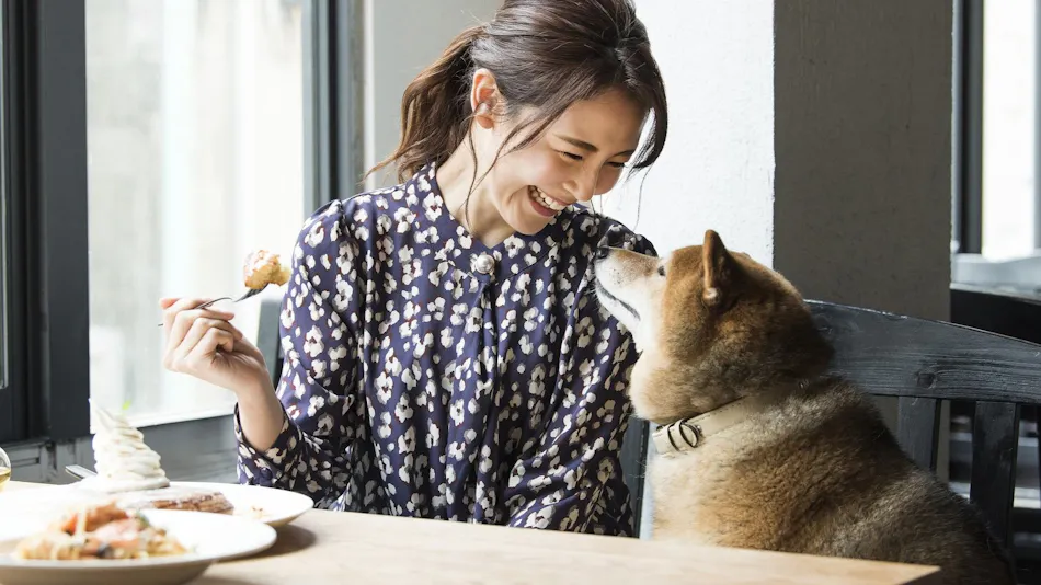 Hotel Shiki no Kura: A Pet-Friendly Inn with Its Own Hot Spring Source