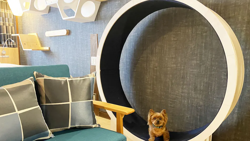 Hotel Shiki no Kura: A Pet-Friendly Inn with Its Own Hot Spring Source