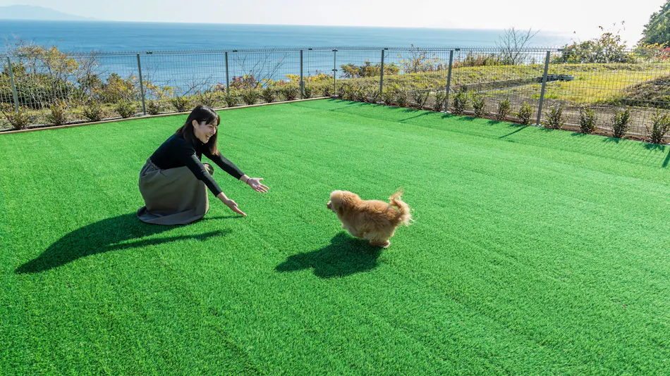 Hotel Shiki no Kura: A Pet-Friendly Inn with Its Own Hot Spring Source