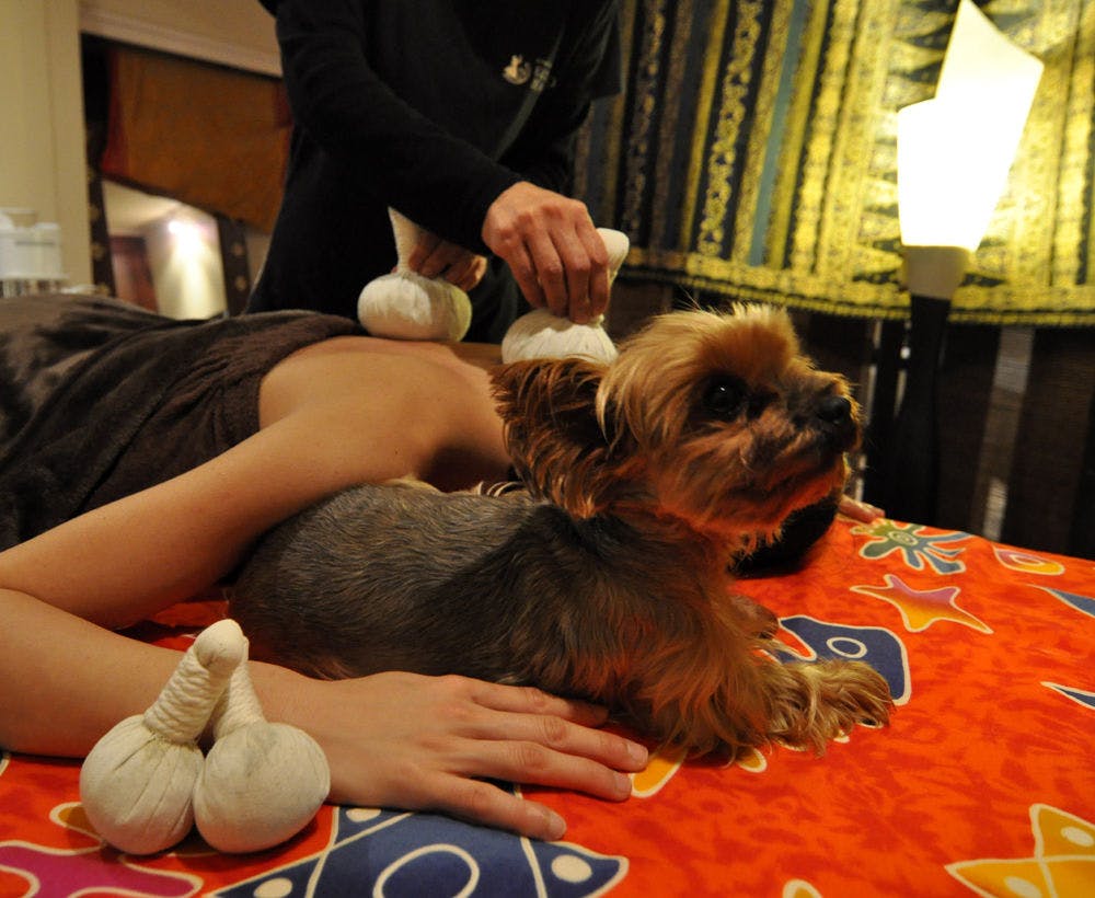 エステとわんちゃん