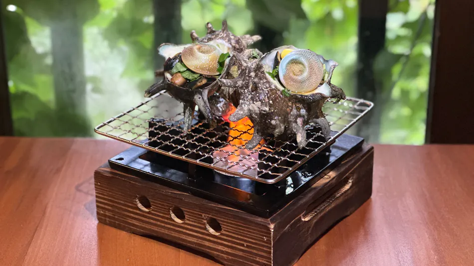 Hotel Shiki no Kura: A Pet-Friendly Inn with Its Own Hot Spring Source