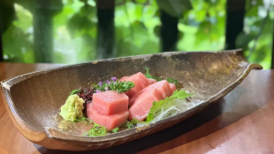 Hotel Shiki no Kura: A Pet-Friendly Inn with Its Own Hot Spring Source