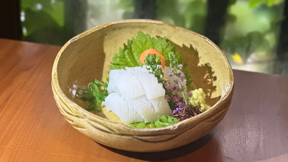 Hotel Shiki no Kura: A Pet-Friendly Inn with Its Own Hot Spring Source