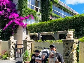 ペットと泊まれる森のホテル ホテル四季の蔵 3枚目