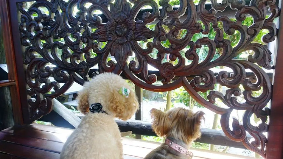 Hotel Shiki no Kura: A Pet-Friendly Inn with Its Own Hot Spring Source