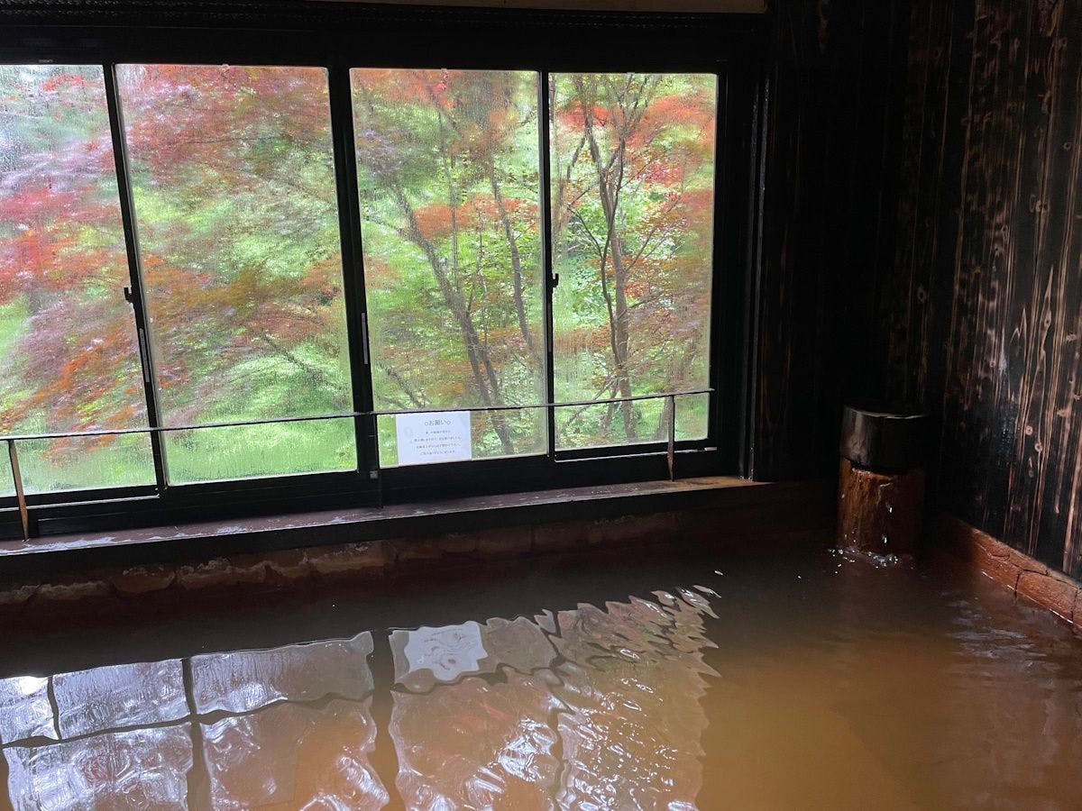 山の宿 明治温泉　御射鹿の湯