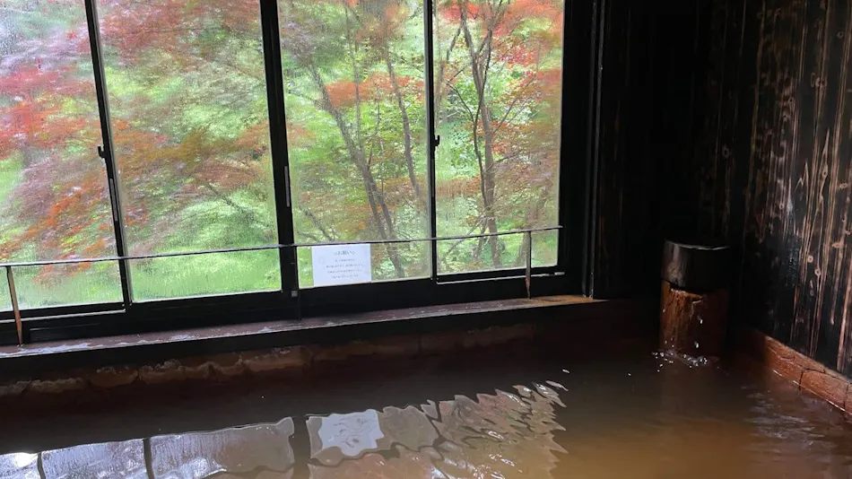 Mountain Inn Meiji Onsen Mishaka no Yu