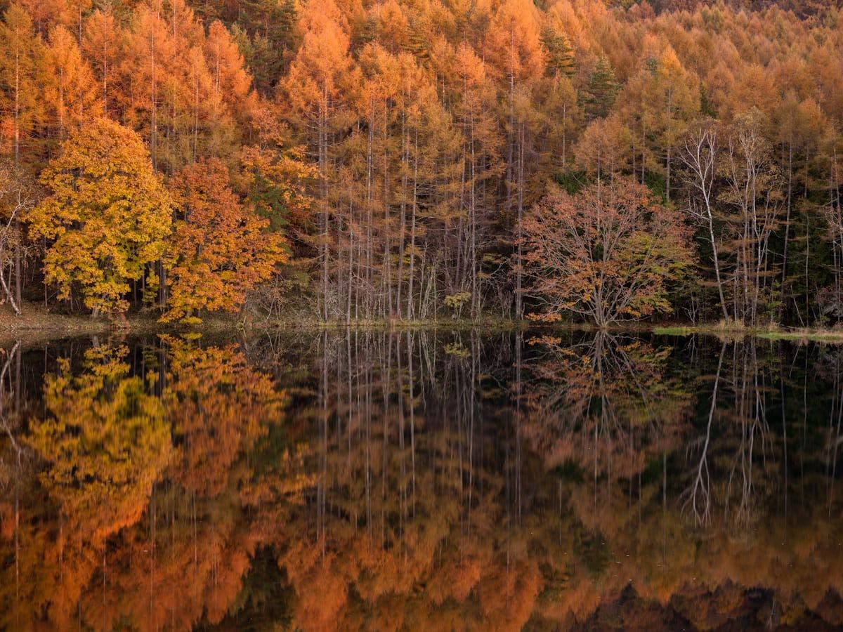 【ธรรมชาติ・การท่องเที่ยว】บ่อน้ำมิเชกะ