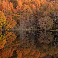 【ธรรมชาติ・การท่องเที่ยว】บ่อน้ำมิเชกะ