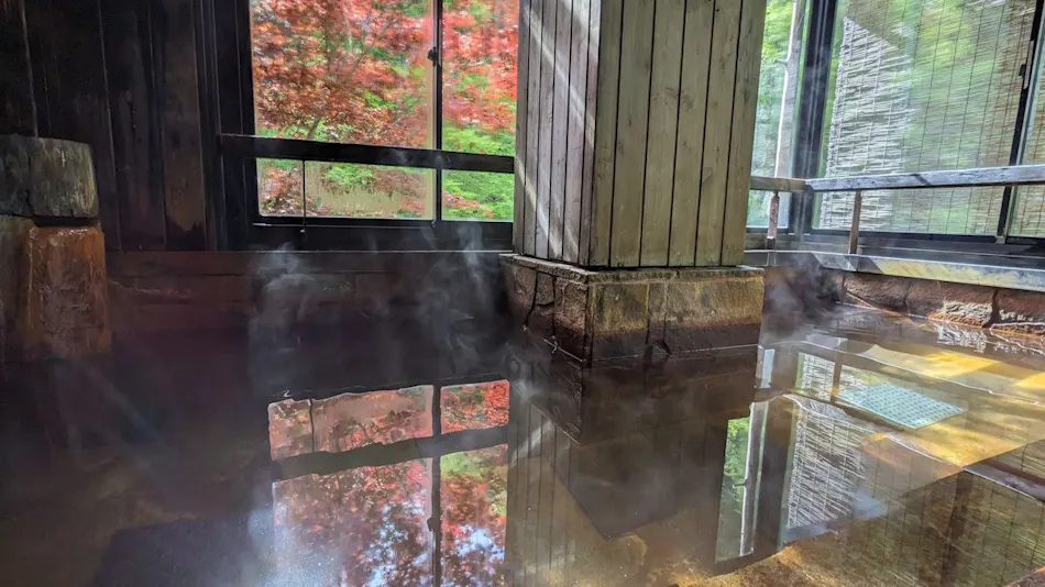 Mountain Inn Meiji Onsen Mishaka no Yu