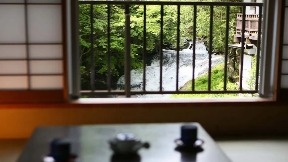 Mountain Inn Meiji Onsen Mishaka no Yu