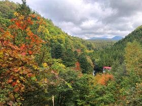 山の宿 明治温泉