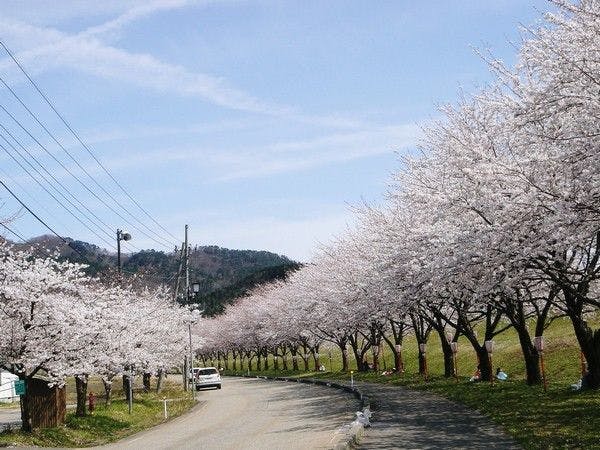 光兎の宿　あらかわ荘