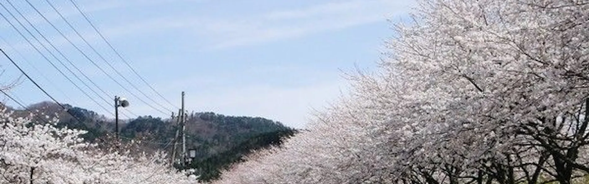 光兎の宿 あらかわ荘
