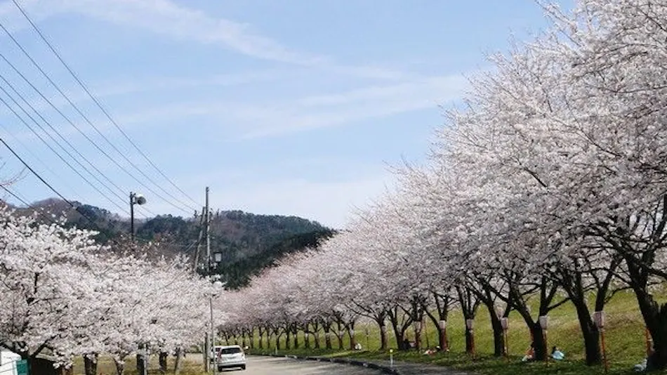 Hikari Usagi no Yado Arakawa-so
