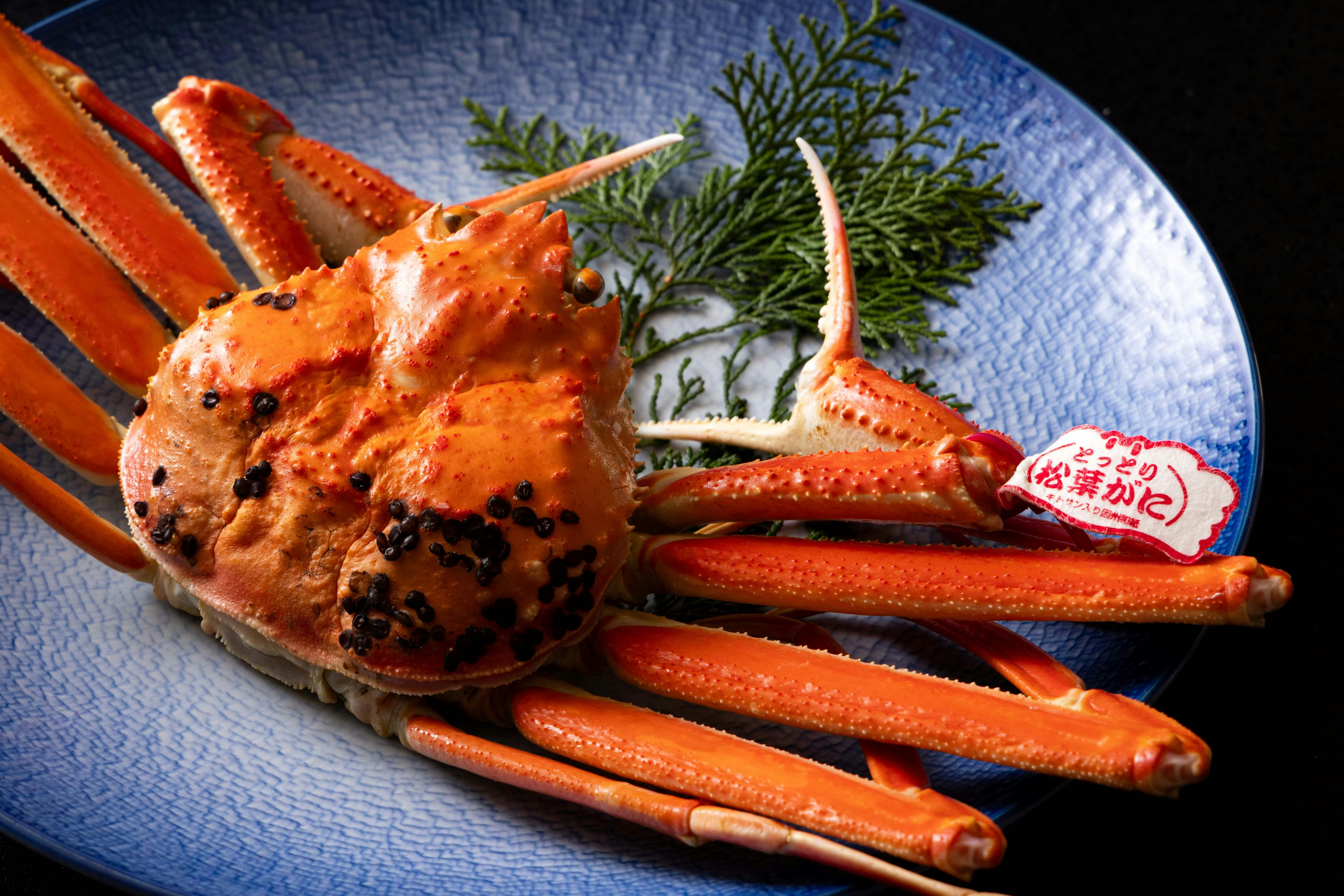 【松葉ガニ至高の一杯×山海会席料理】冬の味覚の極み ブランド松葉ガニ＜松葉ガニ至福の旅＞｜一泊二食