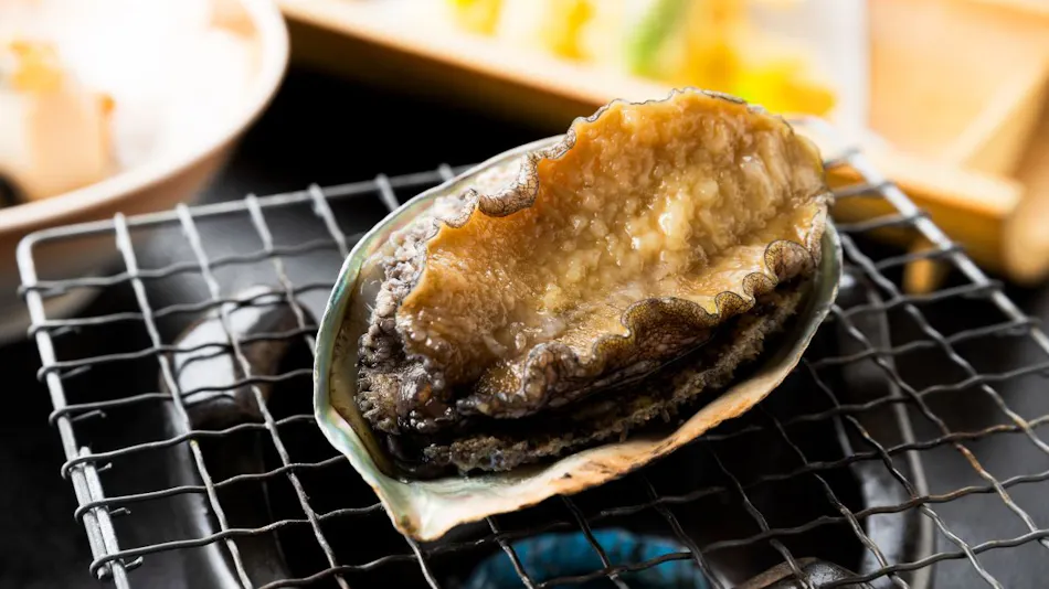 Romantic Tradition Inn Akashiya