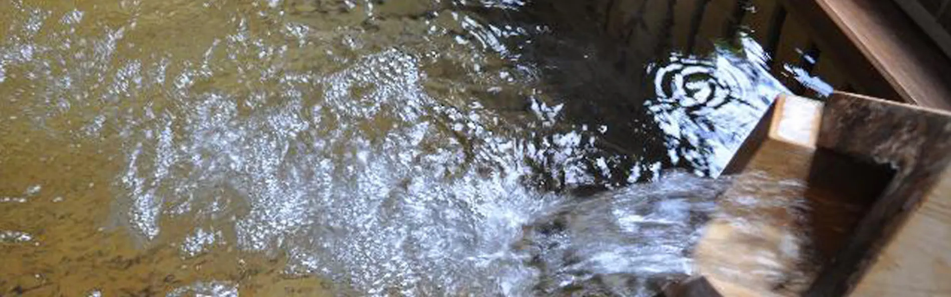変若水の湯 つたや